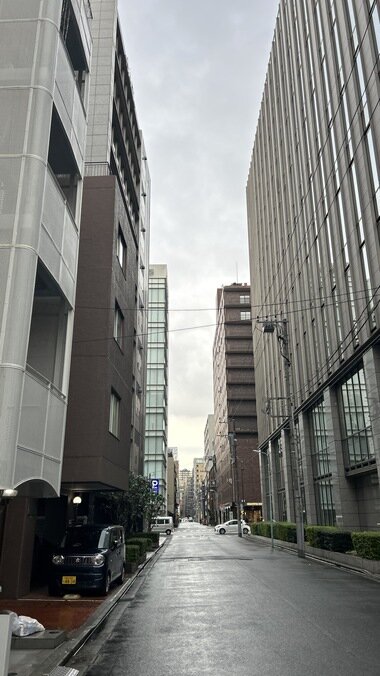 IMG_2147.JPG_380px.jpg