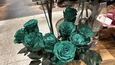 IMG_3291.JPG