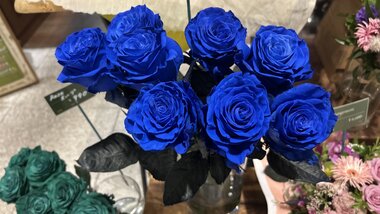 IMG_3331.jpg