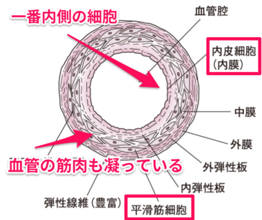 スクリーンショット 2026-02-12 083206.png