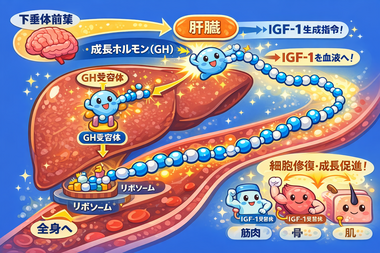 ChatGPT Image 2026年2月20日 08_17_01.png