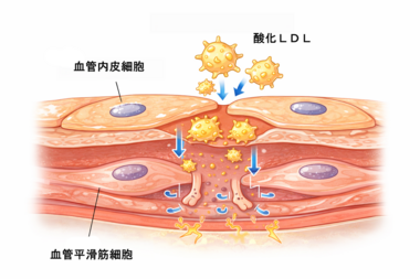 ChatGPT Image 2026年2月13日 07_50_30.png