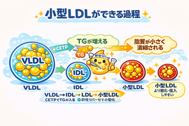 ChatGPT Image 2026年2月14日 07_46_49.png