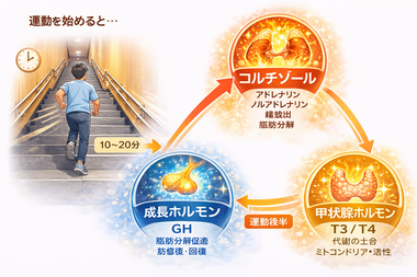 ChatGPT Image 2026年3月1日 22_38_44.png