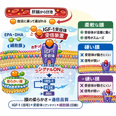 ChatGPT Image 2026年4月1日 10_03_19.png